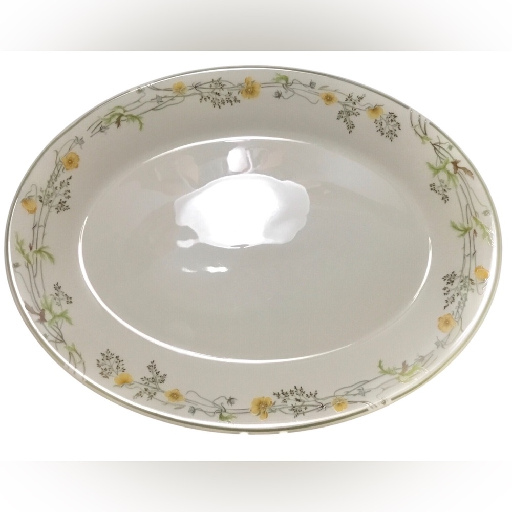 Rare Royal Doulton Nicole Pattern Oval Platter